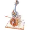 Robotime Rokr 3D Holzpuzzle Beautiful Symphony, 199 Teile