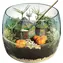Clementoni 19286 Terrarium Harry Potter: Hagrids Hütte / ab 7 Jahren
