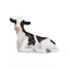 Mojo Holstein-Kalb, liegend / ab 3 Jahren