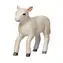 Mojo Lamb Romney Marsh Running / ab 3 Jahren