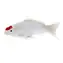 Mojo Carp Koi Tancho / ab 3 Jahren