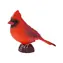 Mojo Cardinal rot / ab 3 Jahren