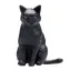Mojo Black Cat sitting / ab 3 Jahren