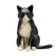 Mojo Katze, schwarz-weiß, sitzend / ab 3 Jahren