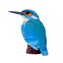 Mojo Kingfisher / ab 3 Jahren