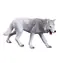 Mojo Arctic Wolf / ab 3 Jahren