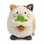 Nici Plüschtier MyMochi Angy die Katze 27 cm mit Kaktus / ab 0 Monaten