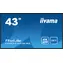43" IIYAMA ProLite LH4341UHS-B2 schwarz / IPS / 3840x2160 / 16:9 / 8ms / 1200:1 / 500cd / Lautsprecher / VGA / HDMI 