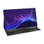 15,6" Uperfect Ubegin B5 schwarz / IPS / 1920x1080 / 16:9 / 250cd-m2 / miniHDMI + 2xUSB-C + 3,5mm Klinke / tragbar 