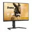 31,5" IIYAMA Gold Phoenix GB3290QSU-B1 / IPS / 2560 x 1440 / 1000:1 / 400 cd/m / 1 ms / HDMI / DP / Lautsprecher / VESA