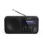 Sharp DR-P420 schwarz / Tragbares Radio / 2 W / DAB+ / UKW / BT / 3,5 mm 
