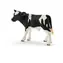 Schleich Farm WORLD 13798 Schwarzfleckiges Kalb / ab 3 Jahren