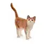 Schleich Farm WORLD 13836 Katze / ab 3 Jahren