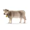 Schleich Farm WORLD 13874 Braunviehkuh / Ab 3 Jahren