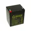 Long 12V 5Ah Blei-Säure-Batterie F2