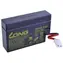 Long 12V 0,7Ah Blei-Säure-Batterie AMP
