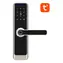 Avatto SDL-A270-S-6072 Digitales Smart-Schloss mit WLAN, Silber