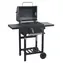 Cattara Holzkohlegrill ROYAL Partner Gusseisenrost / Rost: 43 x 31 cm