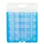 CAMPINGAZ FREEZ PACK M30 / Kühlbox / 20x25,5cm / 1200g