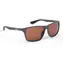 Shimano Brille Technium Matt Dunkelgrau&Kupfer