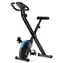 ZIPRO Future X Klappbares Magnet-Heimtrainer-Fahrrad, schwarz / Belastbarkeit 110 kg