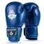 DBX BUSHIDO ARB-407-Blaue Boxhandschuhe