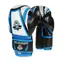 DBX BUSHIDO ARB407v1 6 oz. Boxhandschuhe