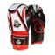 DBX BUSHIDO ARB407v2 6 oz. Boxhandschuhe