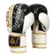 DBX BUSHIDO B-2v16 Boxhandschuhe