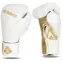 DBX BUSHIDO B-2v19 Boxhandschuhe