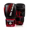 BUSHIDO Boxhandschuhe DBX ARB-415 14 oz