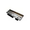 ZEBRA Druckkopf 203dpi für ZD621t