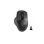 Natec Blackbird 2 schwarz / kabellose optische Maus / 1600 DPI / 2,4 GHz / 6 Tasten