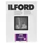 Ilford MG RC DL 1M (30,5 x 40,6 cm) / 50 Blatt / Schwarzweiß-Fotopapier / glänzend