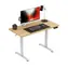Mark Adler Leader 6.9 Schreibtisch / elektrisch verstellbar / 120 x 60 x 72-118 cm 