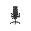 LiberNovo Omni Dynamic Ergonomischer Stuhl (Mitternachtsschwarz) - 48 cm