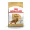 Royal Canin Cocker Adult - Mais & Geflügel & Reis 12 kg / Granulat für Hunde
