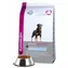 Eukanuba Adult Rottweiler - Trockenfutter für Hunde 12 kg / Granulat für Hunde / für die Rasse Rottweiler