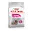Royal Canin Mini Exigent 1 kg / Granulat für Hunde / von 1 bis 10 kg / wählerisch