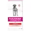 Eukanuba VD Dog Intestinal Dry 12 kg / Granulat für Hunde / Magenprobleme