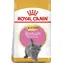 Royal Canin British Shorthair Kitten 400 g / Granulat für Katzen / Kurzhaarkätzchen (bis 12 Monate)