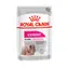 Royal Canin Exigent 12 x 85 g / Beutel für Hunde / wählerische Hunde kleiner Rassen
