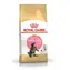 Royal Canin Maine Coon Kitten 4 kg / Granulat für Katzen 