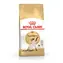 Royal Canin Siamese Adult 2 kg / Granulat für Katzen 