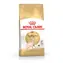 Royal Canin Sphynx Adult 2 kg / Granulat für Katzen 