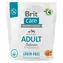 Brit Care Dog Grain-free Adult Small & Medium Lachs 1 kg / Alleinfuttermittel für Hunde / Kleine und mittlere Rassen (1-25 kg)