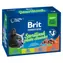 Brit Premium Cat Pouches Sterile Plate (12x100 g) 1,2 kg / Beutel für Katzen