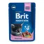 Brit Premium Katzenbeutel mit Fischkätzchen 100 g / Beutel für Katzen