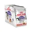 Royal Canin Feline Sterilised 12x 85g / Beutel für Katzen / kastriert