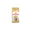 Royal Canin Maine Coon Adult 2 kg / Granulat für Katzen / für Maine Coon Katzen